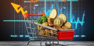 Greatest Crypto Cash to Spend money on: Undervalued Picks (Get DOUBLE returns in January 2025)