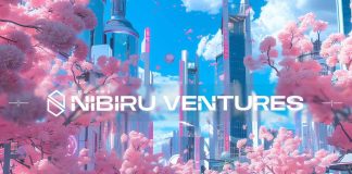 Nibiru Basis Launches Enterprise Arm to Assist Web3 Innovation