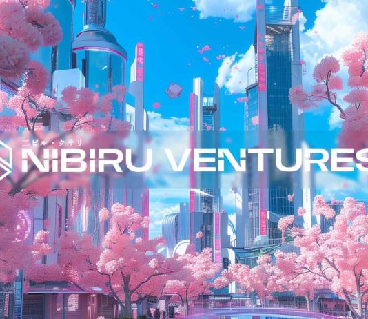 Nibiru Basis Launches Enterprise Arm to Assist Web3 Innovation