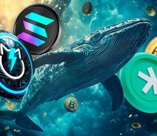 Kaspa vs. Solana vs. JetBolt: Which Coin Ought to I Purchase this Altseason