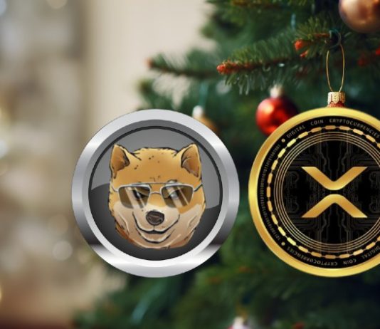 XRP to $three by Christmas? This Extraordinarily Low-cost XRP Various Able to Surpass This Positive factors With 55X