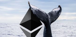 Ethereum Whale With $20,000,000 In Dogecoin Says This Altcoin Seems to be Precisely Like DOGE Did In 2020