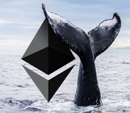 Ethereum Whale With $20,000,000 In Dogecoin Says This Altcoin Seems to be Precisely Like DOGE Did In 2020