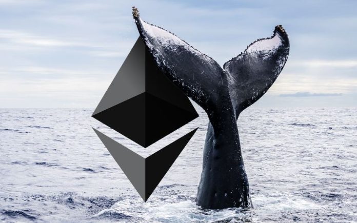 Ethereum Whale With $20,000,000 In Dogecoin Says This Altcoin Seems to be Precisely Like DOGE Did In 2020 Ethereum Whale With $20,000,000 In Dogecoin Says This Altcoin Seems to be Precisely Like DOGE Did In 2020