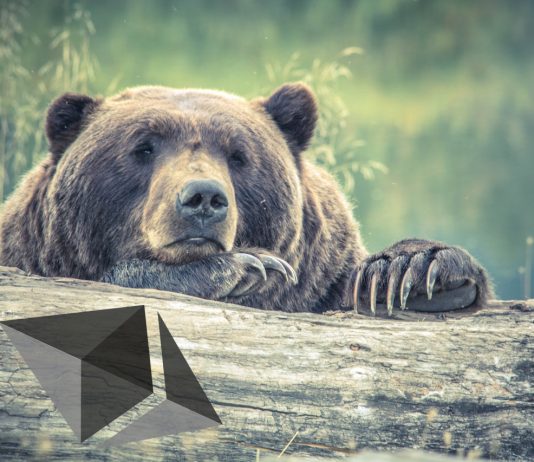 Ethereum ICO Participant Offloads 6,000 ETH As Bearish Sentiment Intensifies