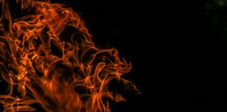 Shiba Inu Burn Fee Shoots Up 1,000% – Are New ATH Ranges Simply Round The Nook?