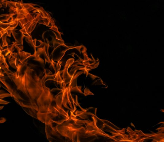 Shiba Inu Burn Fee Shoots Up 1,000% – Are New ATH Ranges Simply Round The Nook?