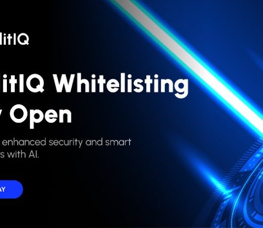 Did You Miss Out On Dogecoin? Safeguard Your Monetary Future By Signing Up For The WallitIQ (WLTQ) Whitelist