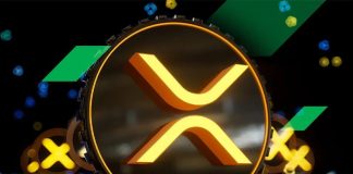 XRP Worth to Tank Additional, Ripple Dealer Says this Rival is the Simple Choice to Get 4000x Returns By This fall 2024