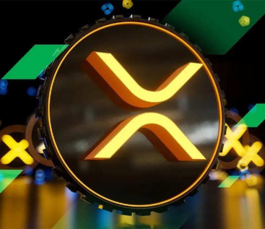 XRP Worth to Tank Additional, Ripple Dealer Says this Rival is the Simple Choice to Get 4000x Returns By This fall 2024
