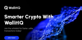 Ethereum Whale Says Shopping for WallitlQ (WLTQ) Will Be Like Shopping for Fantom in 2020, “Don’t Miss Out On The Whitelist”