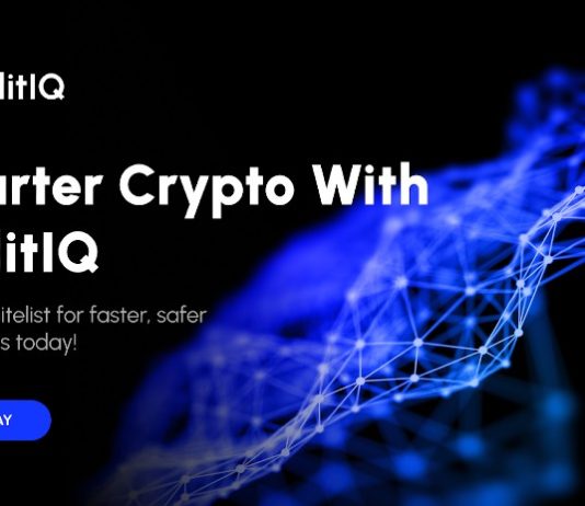 Ethereum Whale Says Shopping for WallitlQ (WLTQ) Will Be Like Shopping for Fantom in 2020, “Don’t Miss Out On The Whitelist”