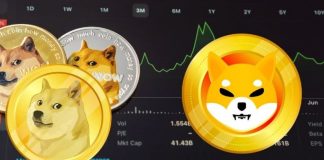 Wall Road Consultants Predict ETFSwap (ETFS) Will Take Over Dogecoin (DOGE) And Shiba Inu (SHIB) Market Cap In 2024