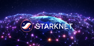 Starknet: Lengthy Positions Liquidated Lead To 16% Losses