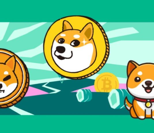 Meme Coin Market Bouncing Again After $9 Billion Dip – New Tasks Making ready For Worth Explosion