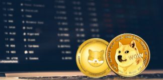 Knowledgeable Says Dogecoin, Shiba Inu, and RCOF are ‘No Brainer’ Buys to Get 4000x Beneficial properties in four Months Knowledgeable Says Dogecoin, Shiba Inu, and RCOF are ‘No Brainer’ Buys to Get 4000x Beneficial properties in four Months
