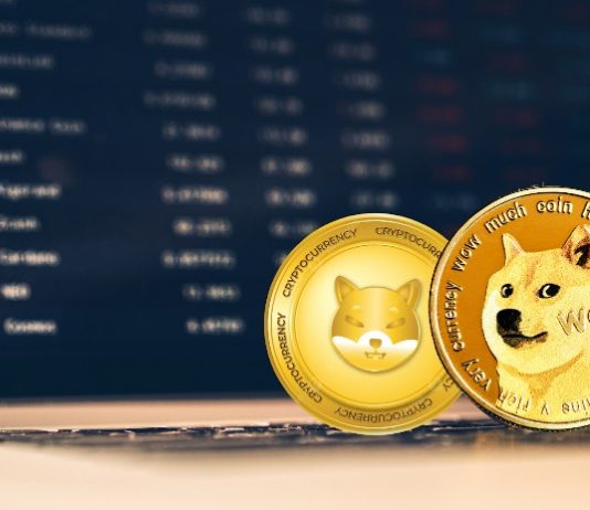 Knowledgeable Says Dogecoin, Shiba Inu, and RCOF are ‘No Brainer’ Buys to Get 4000x Beneficial properties in four Months