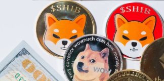 Analysts Places Shiba Inu Worth At $0.05, Dogecoin At $25, And XRP Worth At $200 With Surprising Timeline Analysts Places Shiba Inu Worth At $0.05, Dogecoin At $25, And XRP Worth At $200 With Surprising Timeline