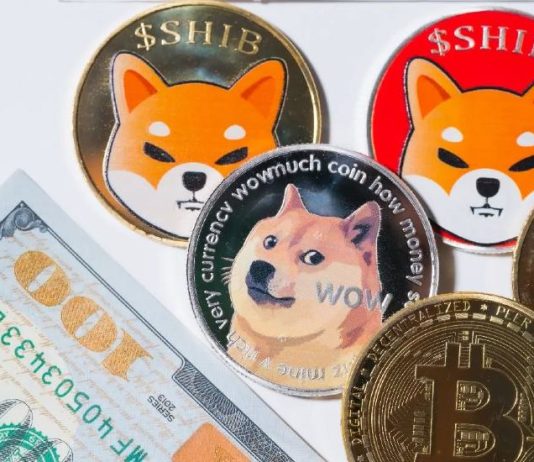 Analysts Places Shiba Inu Worth At $0.05, Dogecoin At $25, And XRP Worth At $200 With Surprising Timeline Analysts Places Shiba Inu Worth At $0.05, Dogecoin At $25, And XRP Worth At $200 With Surprising Timeline