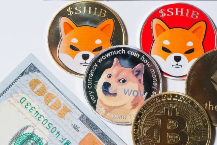 Analysts Places Shiba Inu Worth At $0.05, Dogecoin At $25, And XRP Worth At $200 With Surprising Timeline 