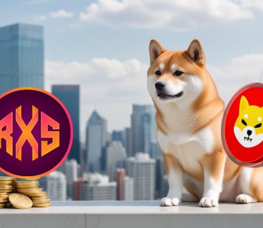 four Quick-Rising Shiba Inu Rivals Set to Go away SHIB within the Mud This Bull Run four Quick-Rising Shiba Inu Rivals Set to Go away SHIB within the Mud This Bull Run