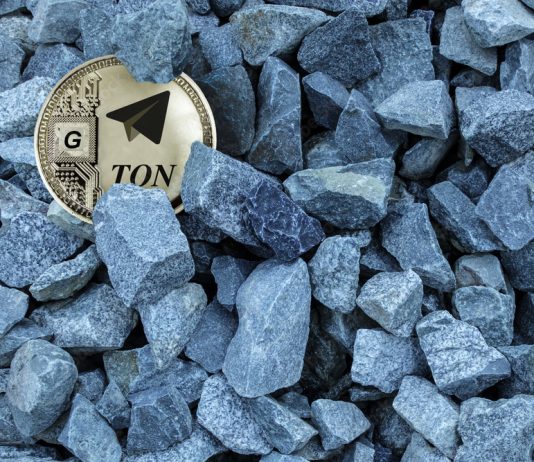 TON Restoration Stalls: One other Worth Decline Hinders Bullish Efforts