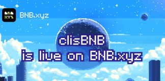 Unlocking New DeFi Alternatives for BNB Holders Unlocking New DeFi Alternatives for BNB Holders