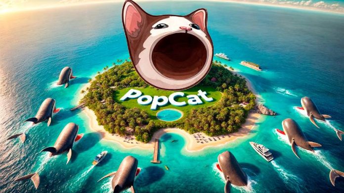 New ATH for POPCAT? Whales Say Sure!