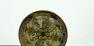 ‘Cardano Isn’t Dying’: Charles Hoskinson Defends Challenge Amid ADA Worth Criticism ‘Cardano Isn’t Dying’: Charles Hoskinson Defends Challenge Amid ADA Worth Criticism