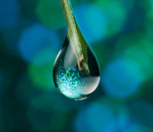 SUI Rallies 100%, However Indicators Of Fatigue Emerge – Is A Drop Incoming?