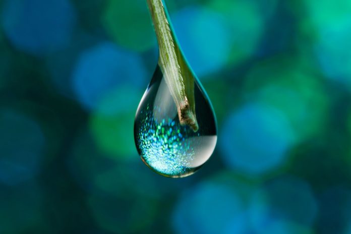 SUI Rallies 100%, However Indicators Of Fatigue Emerge – Is A Drop Incoming?