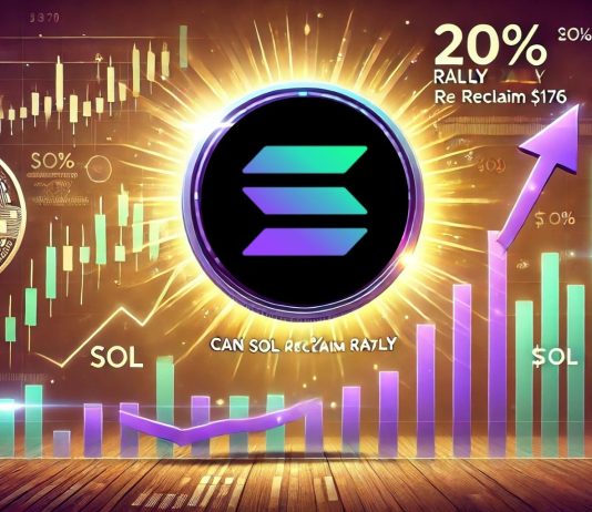 Solana Prepares For A 20% Rally – Can SOL Reclaim $176?