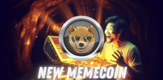 Transfer Over Dogecoin: This New Meme Coin Is Going Viral