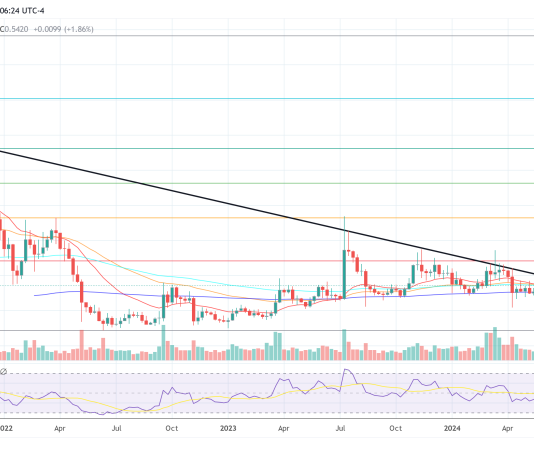 Why Isn’t XRP Value Shifting? Crypto Pundit Claims The Reply