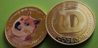 Dogecoin Revival: Lively Addresses Skyrocket To Highest Degree In eight Months