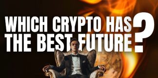 Which Crypto has the Greatest Future – Prime Undervalued Cash 2024 Which Crypto has the Greatest Future – Prime Undervalued Cash 2024