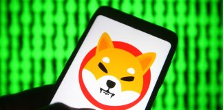100% Uptick For Shiba Inu? Consultants Eye World Reversal As Catalyst 100% Uptick For Shiba Inu? Consultants Eye World Reversal As Catalyst