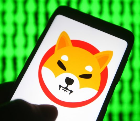 100% Uptick For Shiba Inu? Consultants Eye World Reversal As Catalyst