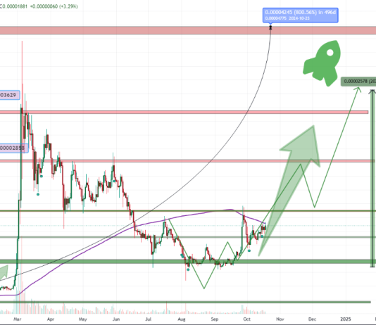 Shiba Inu To Double? Analyst Predicts 200% Value Hike – Particulars