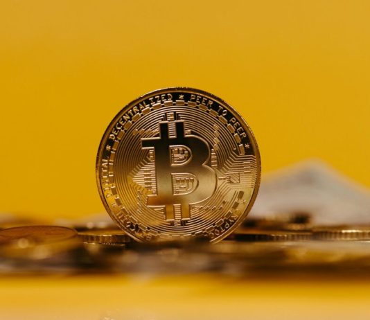 Exploring Crypto and No Deposit Bonuses