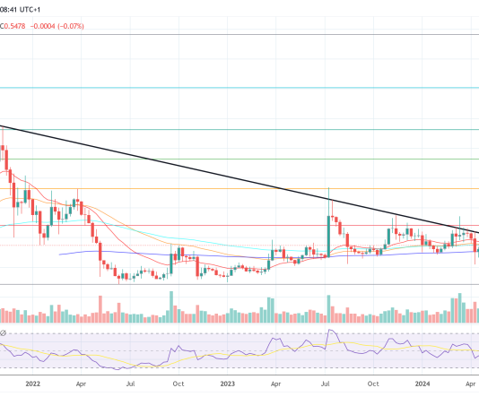 Ripple At A Vital Juncture Like Amazon In 1997, Says Funding Professional