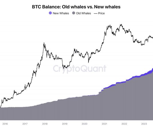 7 Causes To Be Bullish On Bitcoin This Week