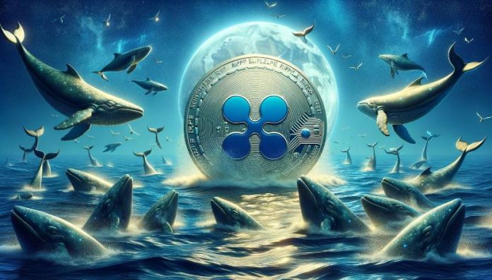 XRP Value Outlook: Ripple Whales Shed 48 Million Tokens Amid SEC Enchantment Affirmation
