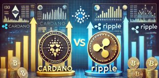 Cardano and XRP Value Expertise Setbacks, Whereas RCO Finance Presale Is Prepared To Enter Stage 3