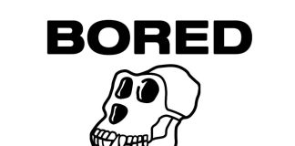 ApeExpress Launches on ApeChain: $BORED Reaches $22 Million Market Cap Shortly After Debut