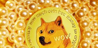 Dogecoin Worth Prediction: DOGE ETF May Be Coming With Grayscale’s Report. Can It Attain $5 Or Will This $0.03846 Altcoin Get There First?