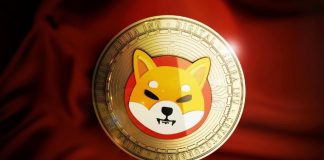 Shiba Inu Worth Prediction: SHIB to Ignite Rally with New Finance Partnership – What Does This Imply for Altcoins? Shiba Inu Worth Prediction: SHIB to Ignite Rally with New Finance Partnership – What Does This Imply for Altcoins?