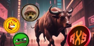 Missed Dogecoin’s Bull Run? These four DOGE Alternate options Might Be the Subsequent to Leap 10,000% by Mid-2025
