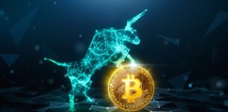 Crypto Analyst Says The Bitcoin Bull Run Is Nearly Right here, This Low cost Altcoin Might Yield Extra Features In 2025