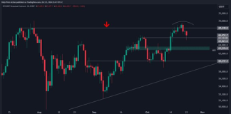 Bitcoin Worth Retests Bullish Channel At $65,000, Analyst Reveals What’s Subsequent Bitcoin Worth Retests Bullish Channel At $65,000, Analyst Reveals What’s Subsequent